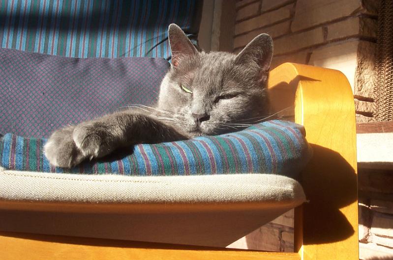 Annabelle Jan-2002 1.JPG